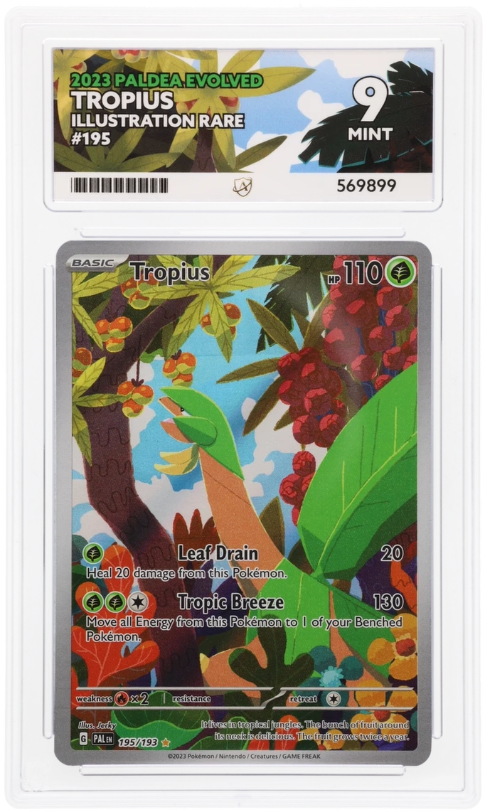 2023 PALDEA EVOLVED TROPIUS ILLUSTRATION RARE #195 ACE MINT 9