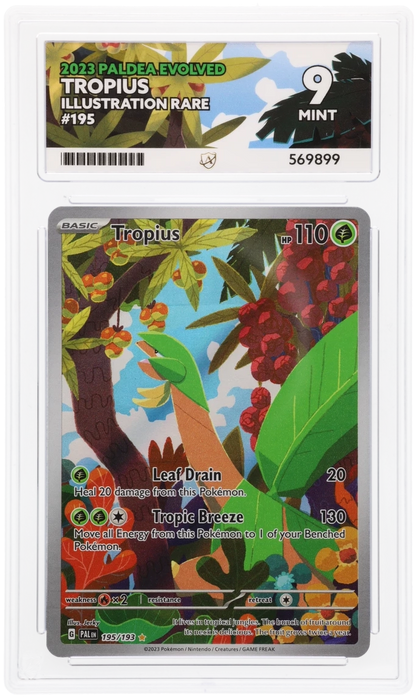 2023 PALDEA EVOLVED TROPIUS ILLUSTRATION RARE #195 ACE MINT 9