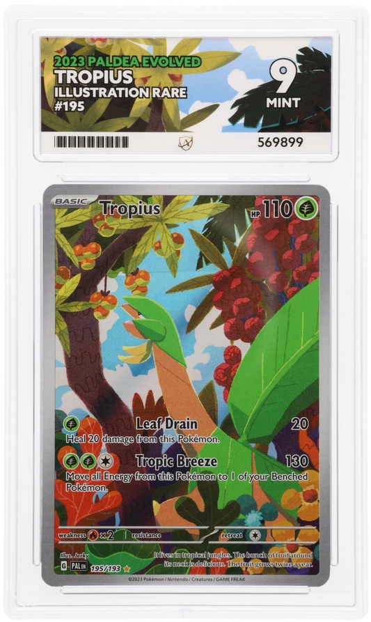 2023 PALDEA EVOLVED TROPIUS ILLUSTRATION RARE #195 ACE MINT 9