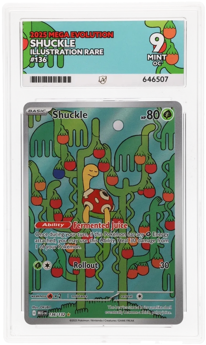 2025 MEGA EVOLUTION SHUCKLE ILLUSTRATION RARE #136 ACE MINT 9