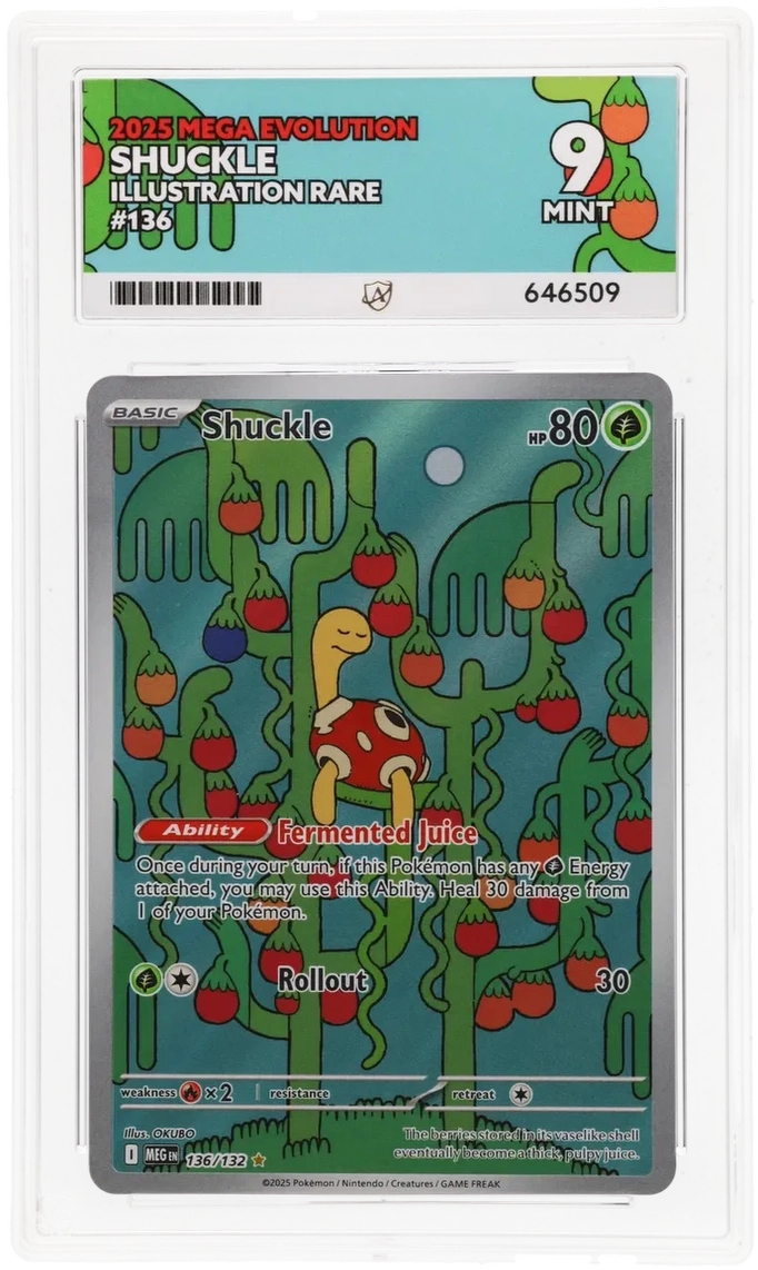 2025 MEGA EVOLUTION SHUCKLE ILLUSTRATION RARE #136 ACE MINT 9