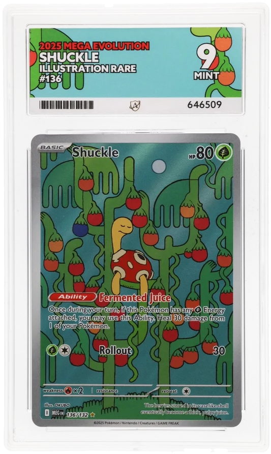 2025 MEGA EVOLUTION SHUCKLE ILLUSTRATION RARE #136 ACE MINT 9